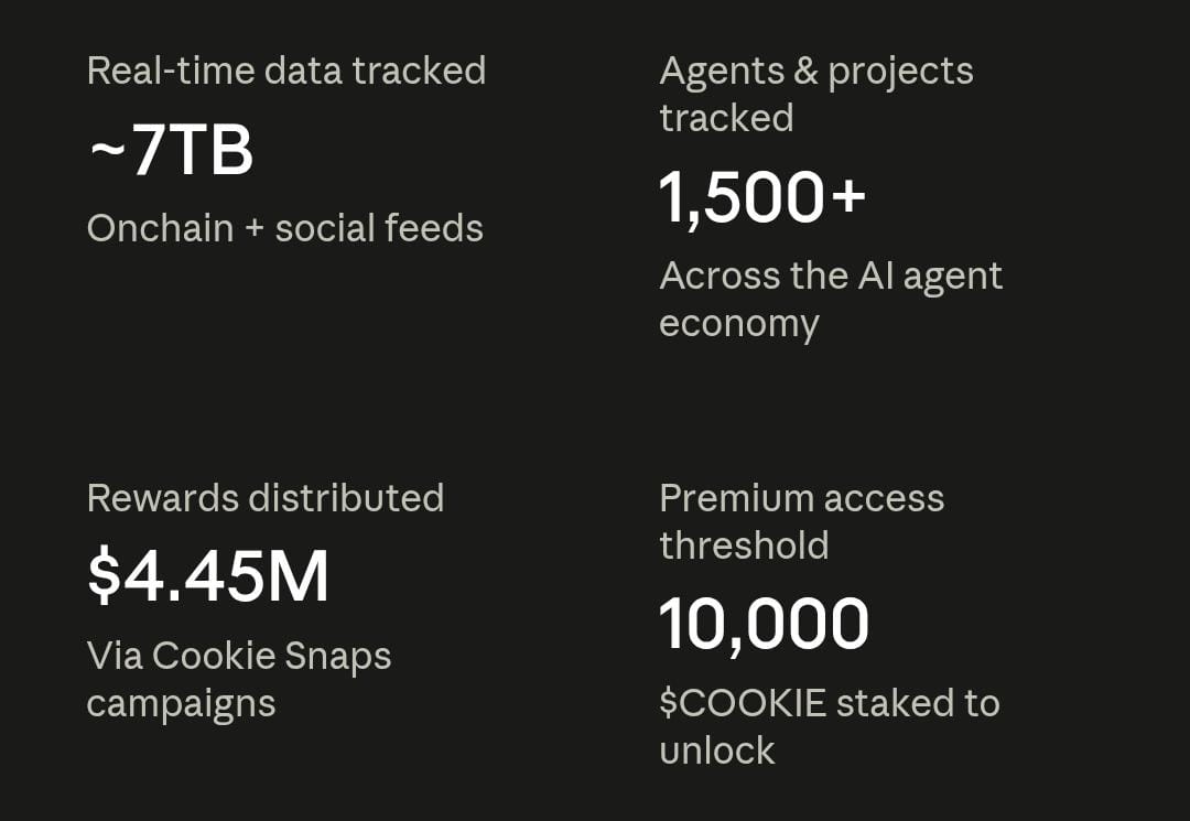 Cookie.fun Built A Real-Time Attention Index For Crypto, Here's Where It Still Falls Short