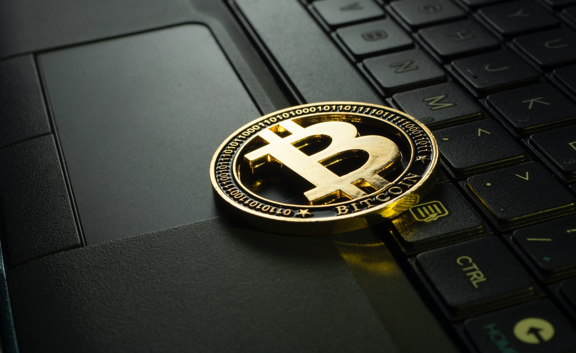 4 of the Best Cryptocurrencies for Newbie Investors