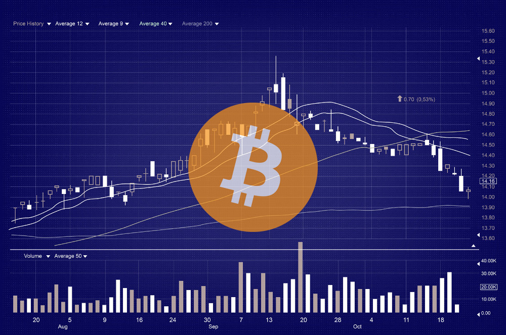 Bitcoin Price Volatility