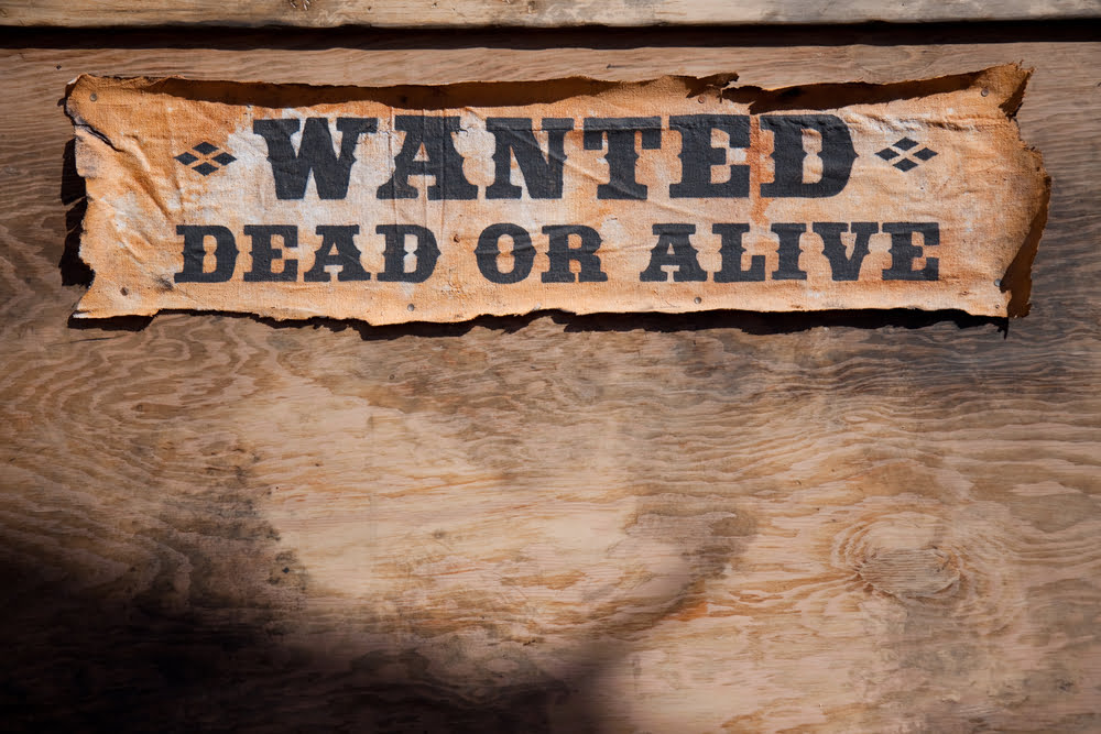 No Money to Buy the Dip? Start Hunting!