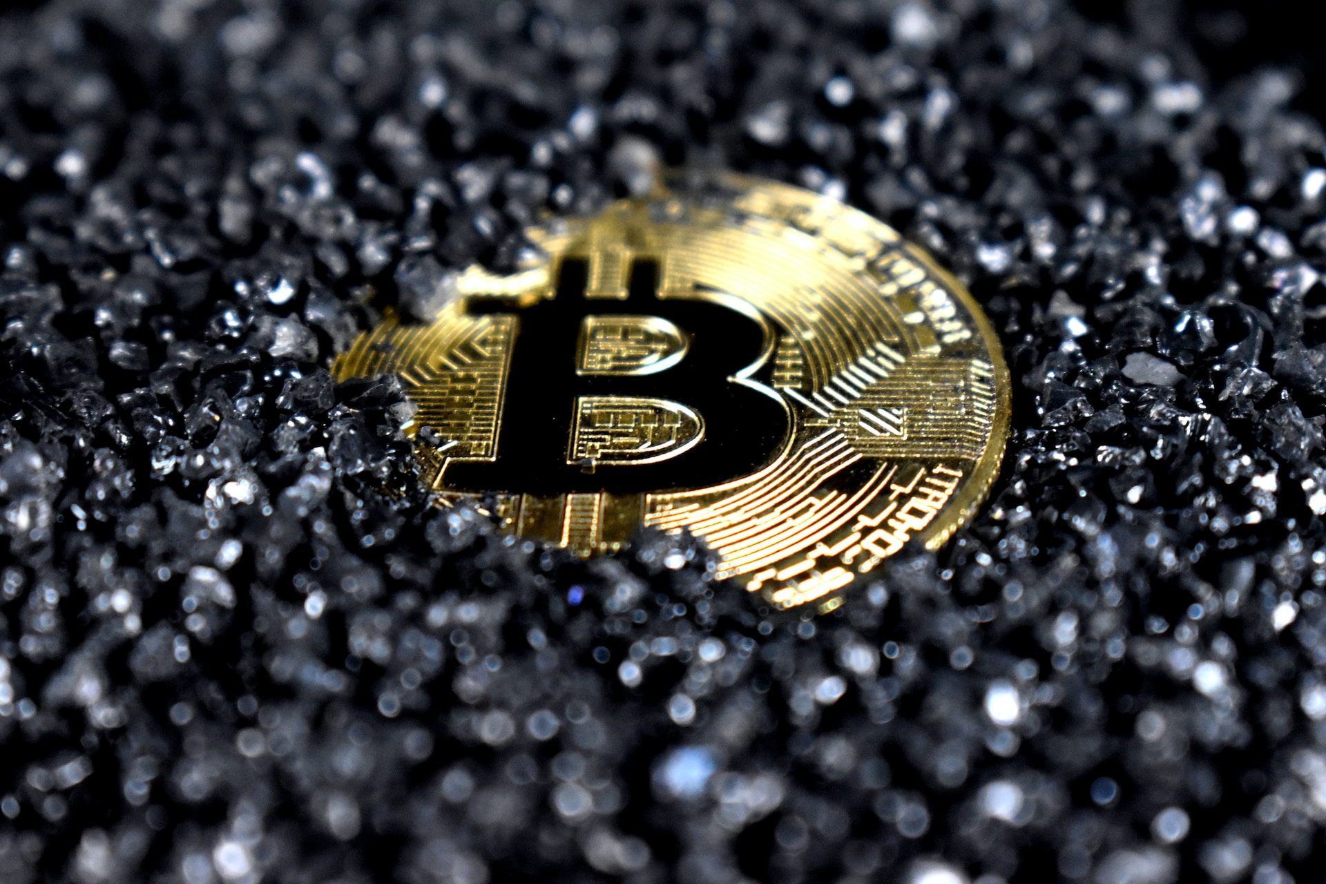 The Newest Crypto Projects on the Market